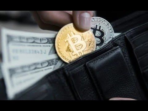 ¿Qué es una billetera de criptomonedas?