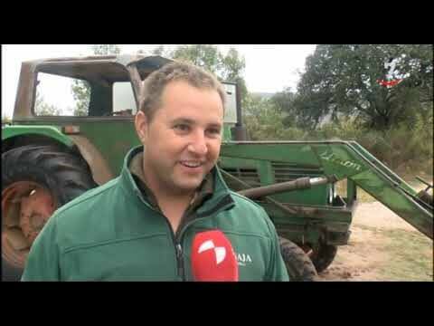 Tractores por jubilación: Renovando la maquinaria agrícola