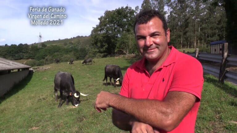 Las ferias de ganado en Cantabria: tradición y cultura