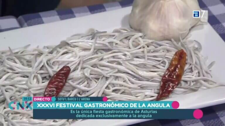 Todo sobre el Festival de la Angula: Tradición y Delicias del Mar
